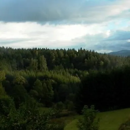 Apartman Bergl-alm, Urlaub Mit Hund Böbrach